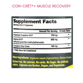CON-CRĒT®+ MUSCLE RECOVERY